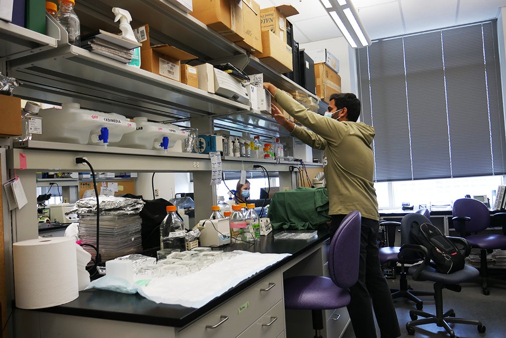 A student in a lab reaching for materials