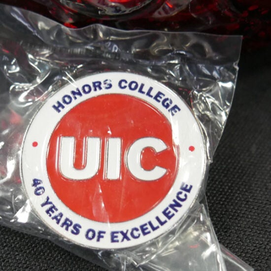 Picture of an Honors College pin