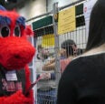 Sparky talking to a student