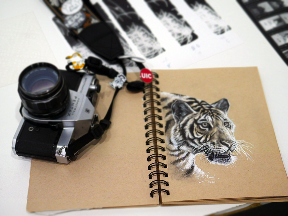 picture of a camera and a tiger