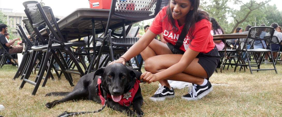 Dog in an Honors College frame