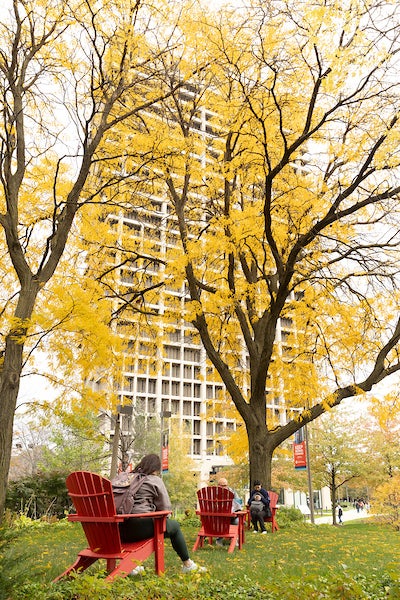 Fall colors on UIC campus with UH in the background